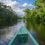 The Amazon Rainforest Travel Guide – Travel in Brazil